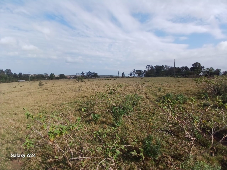 5 Bedroom Property for Sale in Macleantown Eastern Cape